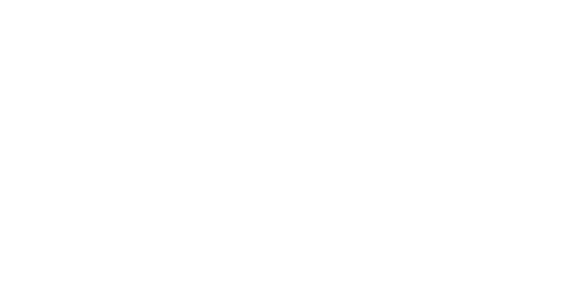Fitness Festival